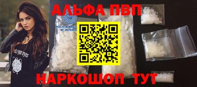 мет Кингисепп
