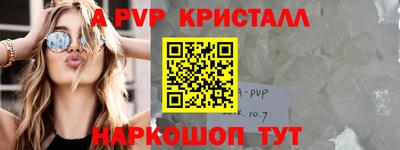 мет Кингисепп