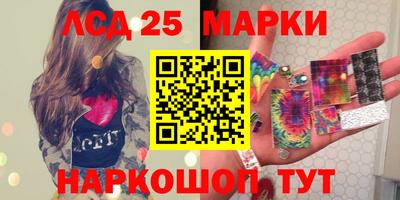 мет Кингисепп