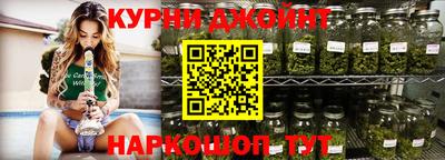 мет Кингисепп