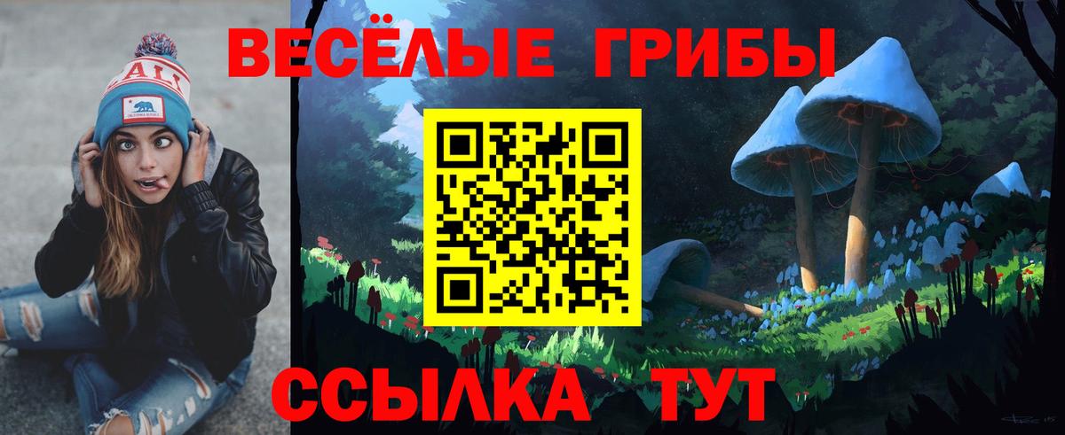 Галлюциногенные грибы Cubensis  Вход с VPN  Ярцево 