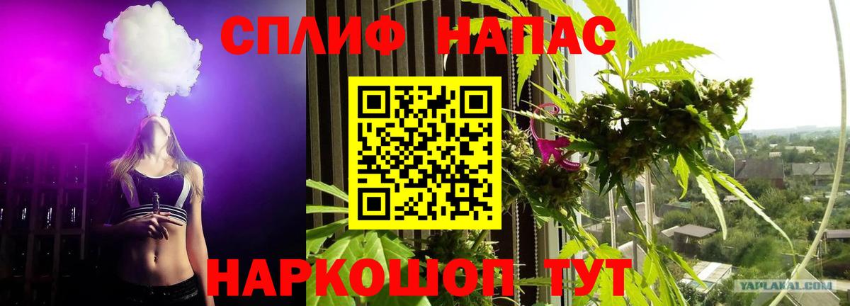 Конопля SATIVA & INDICA  Бошки Шишки Bruce Banner  Ярцево  Марихуана сатива  Вход с VPN 